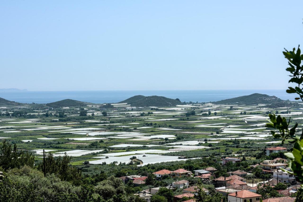 Apartmán Olive Hill